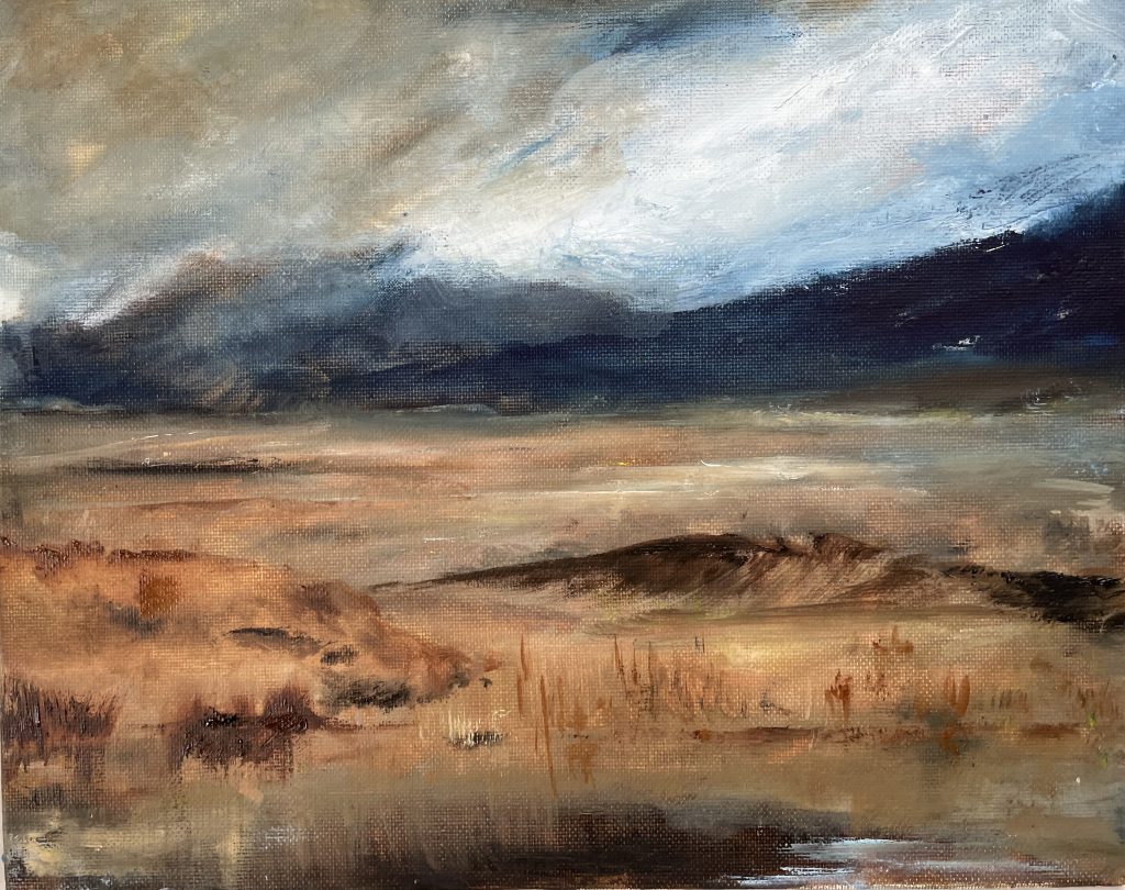 blaue Berge, Moorlandschaft
