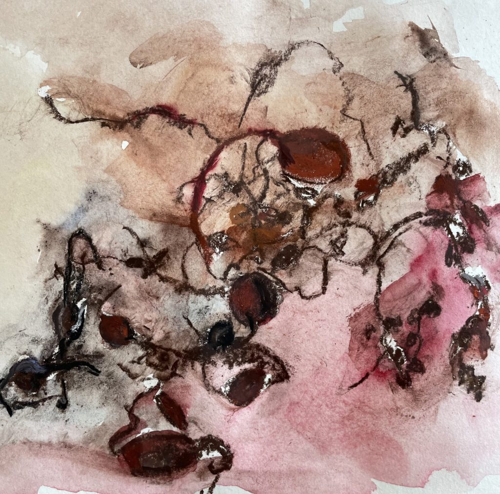 getrocknetes Seaweed, Studie,