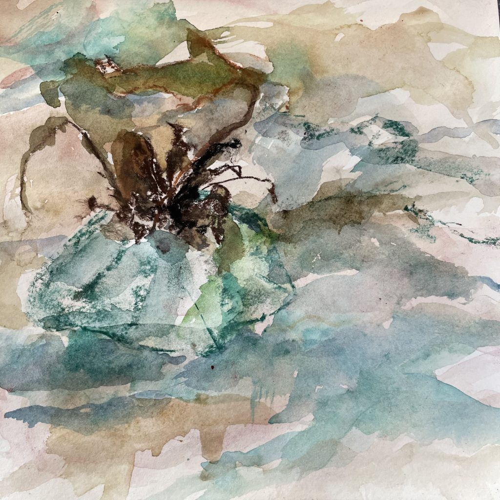 kleine Muschel im Wasser mit Seaweed