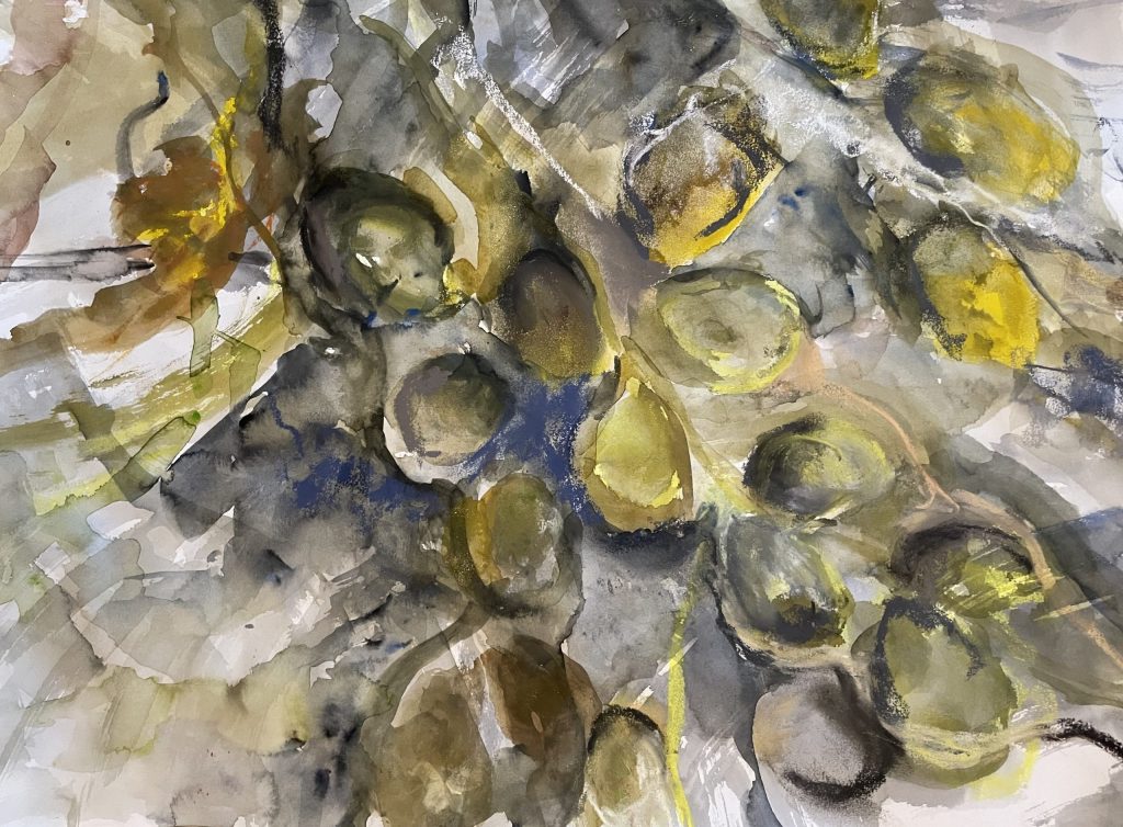 Seaweed