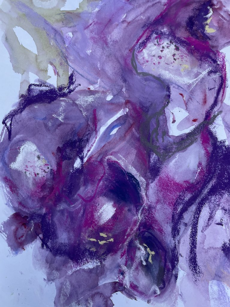 Foxgloves, Fingerhut